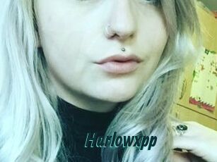 Harlowxpp