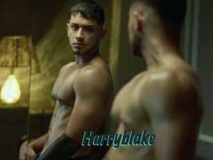 Harryblake