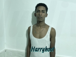 harryhoot Lucy Live
