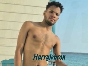 Harrylebron