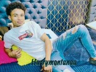 Harrymontanaa