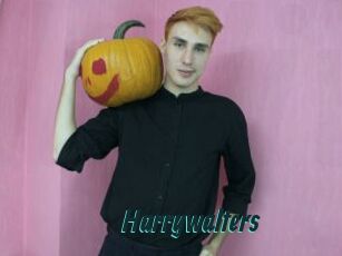 Harrywalters