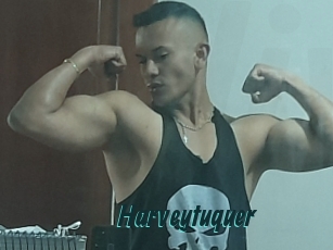 Harveytuquer