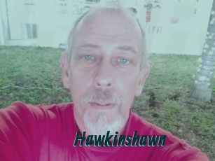 hawkinshawn Lucy Live