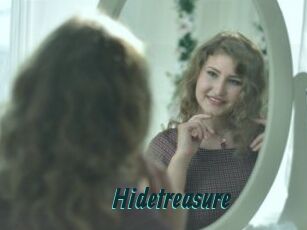 Hidetreasure