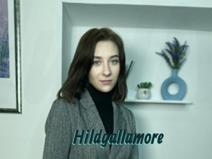 Hildgallamore