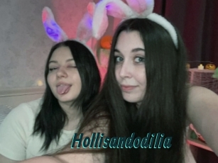 Hollisandodilia