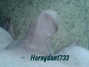 Hornydan1733