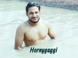 Hornygaggi