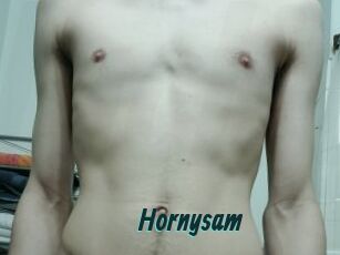 Hornysam