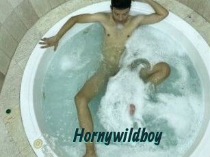 Hornywildboy