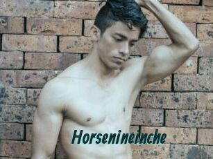 Horsenineinche