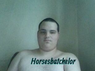 Horsesbatchelor