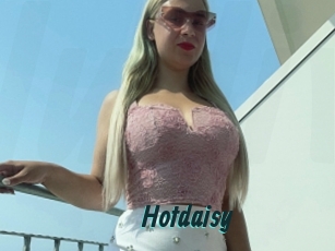 Hotdaisy