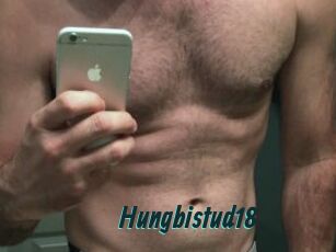 Hungbistud18