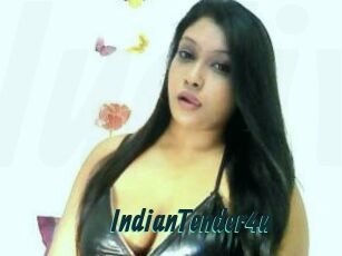 IndianTender4u