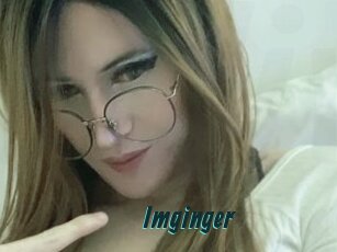 Imginger