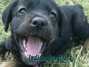 Indianajonestest