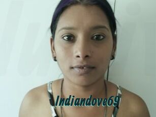 Indiandove69