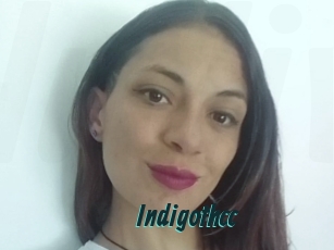 Indigothcc