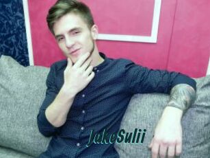 JakeSulii