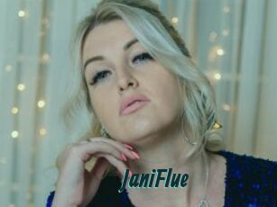 JaniFlue