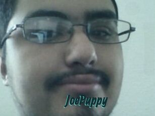 JoePuppy