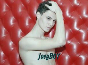 JoeyB0Y