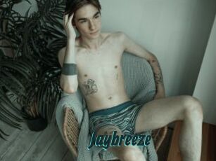 Jaybreeze