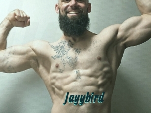 Jayybird
