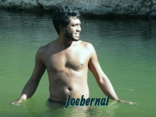 Joebernal