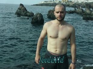 Joedavid