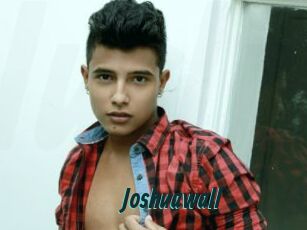 Joshuawall