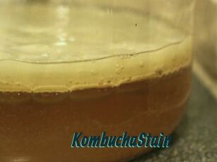 KombuchaStain