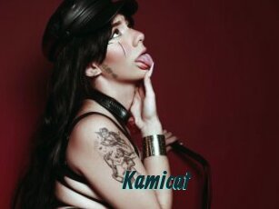 Kamicat