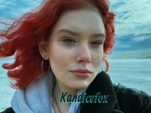 Kandicefox