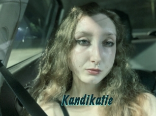 Kandikatie