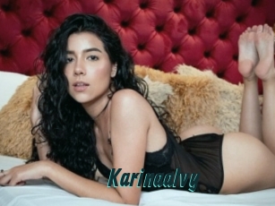 Karinaalvy
