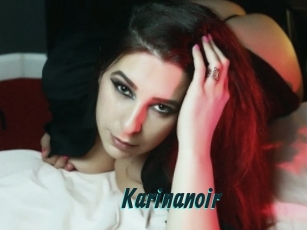 Karinanoir