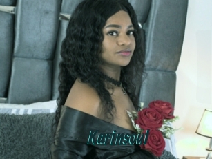 Karinsoul