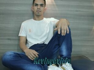Kevingaviria