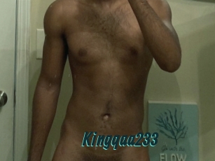 Kingqaa233