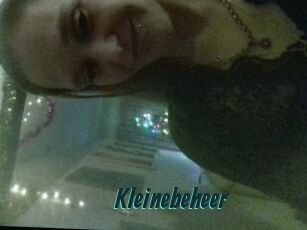 Kleinebeheer