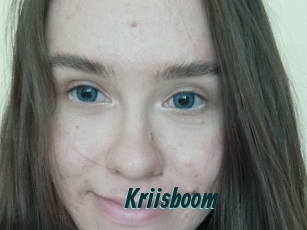 Kriisboom