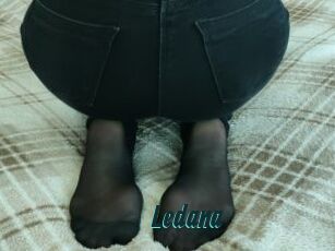Ledana Lucy Live