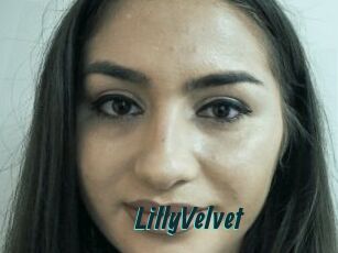 LillyVelvet
