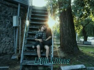 Little_Kittens