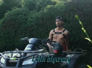 Latin_bigcrazy