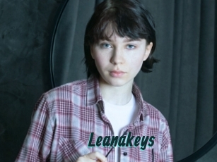 Leanakeys