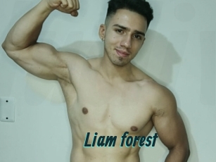 Liam_forest